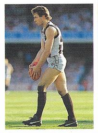 1991 Select AFL Stickers #65 Gavin Brown Front